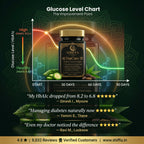 Shiffa Herbal AL-DiaCure SF – Herbal Blood Sugar Management Formula