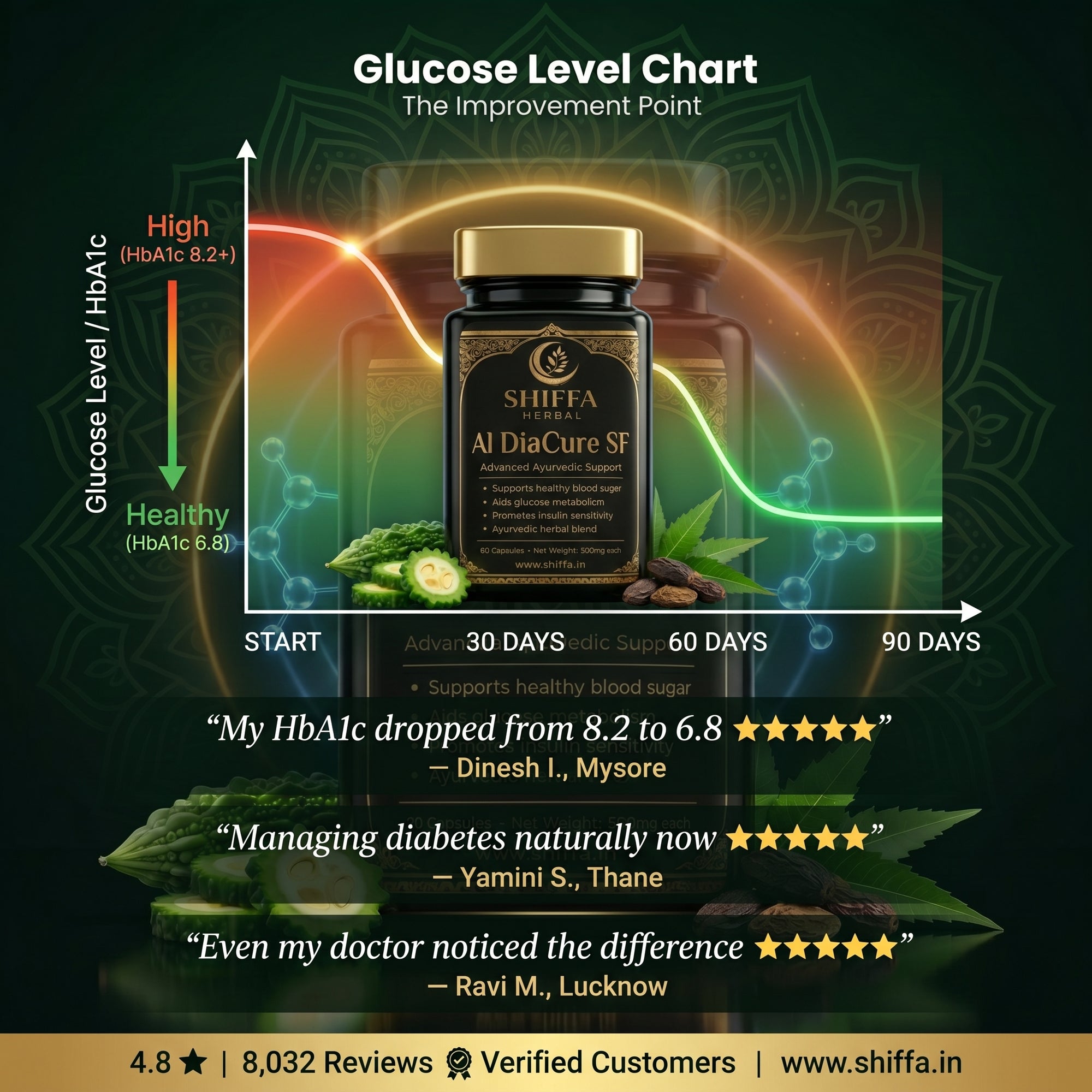 Shiffa Herbal AL-DiaCure SF – Herbal Blood Sugar Management Formula