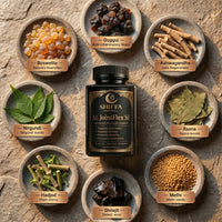 Shiffa Herbal AL-JointFlex SF – Advanced Joint Support & Cartilage Repair Formula