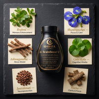 Shiffa Herbal AL-BrainBoost SF – Ayurvedic Nootropic Brain Enhancer