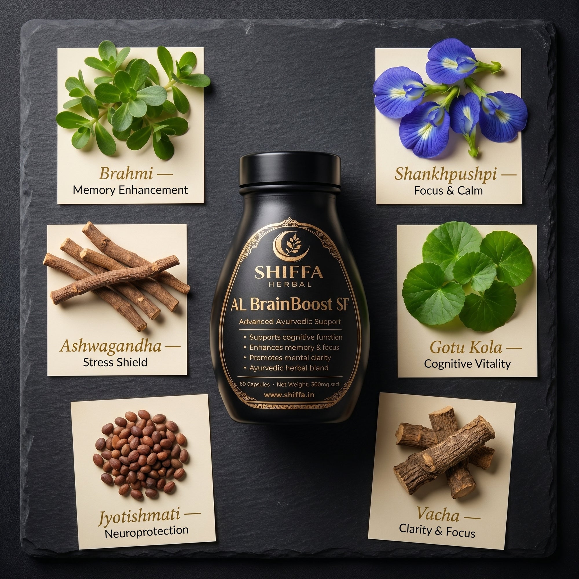 Shiffa Herbal AL-BrainBoost SF – Ayurvedic Nootropic Brain Enhancer