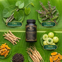 Shiffa Herbal AL-Immuno SF – Advanced Herbal Immunity Booster Formula