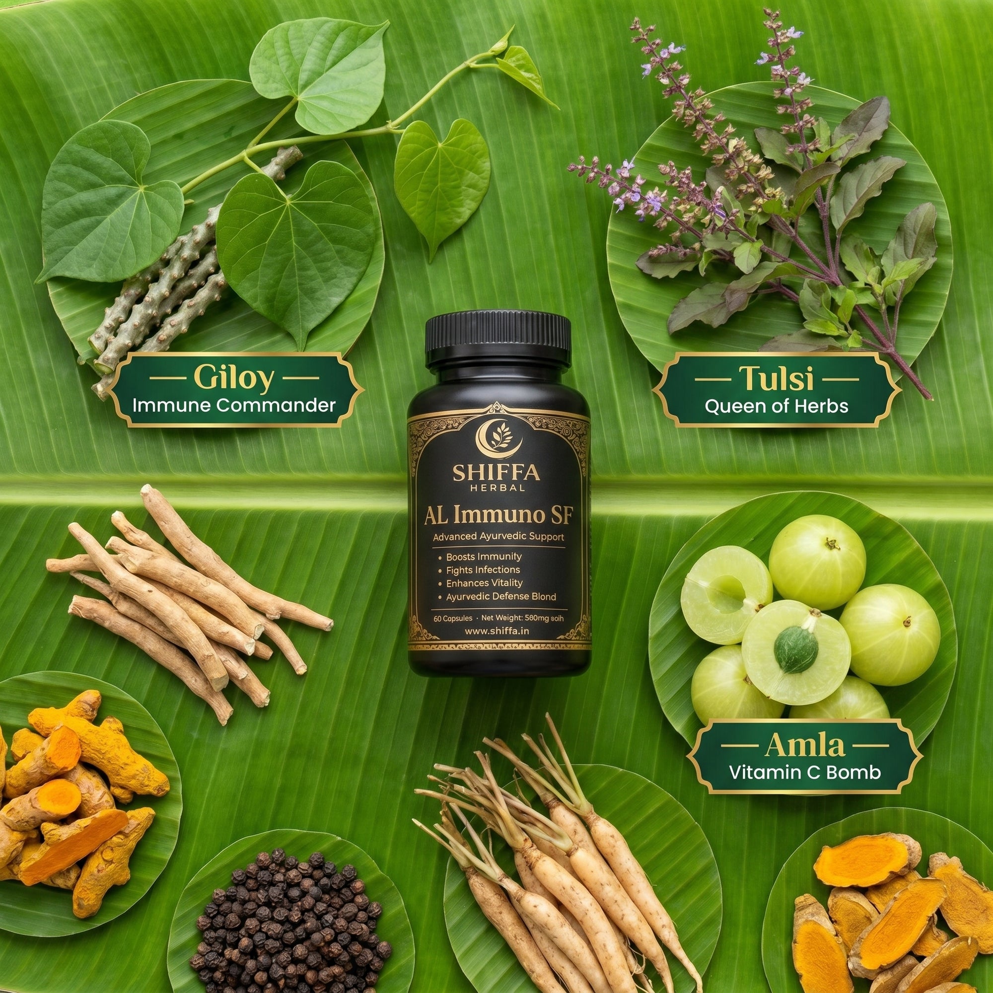 Shiffa Herbal AL-Immuno SF – Advanced Herbal Immunity Booster Formula