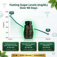 Shiffa Herbal AL-GlucoShuddhi – Advanced Glucose Balance & Insulin Support