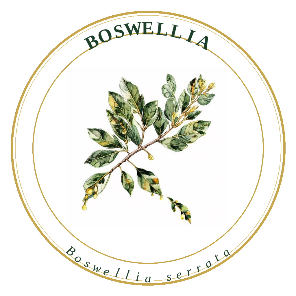 Boswellia