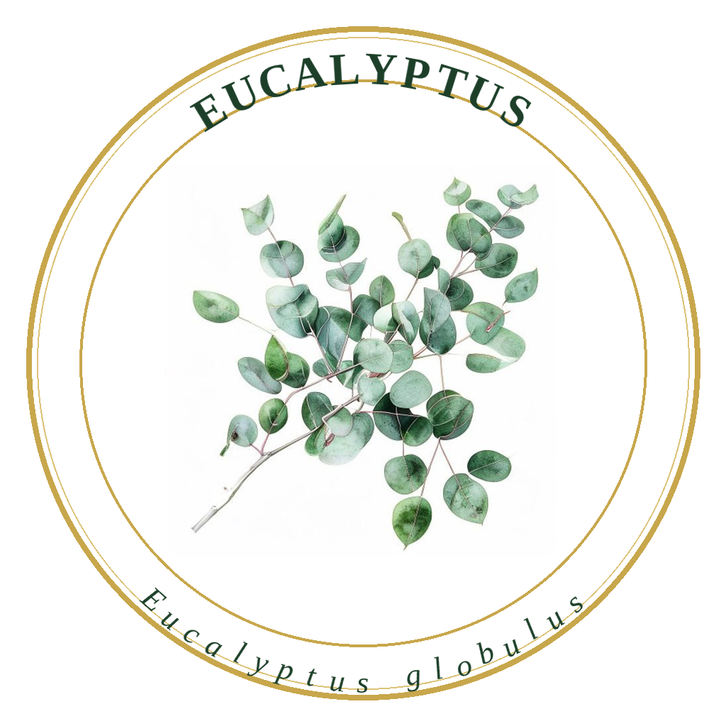 Eucalyptus