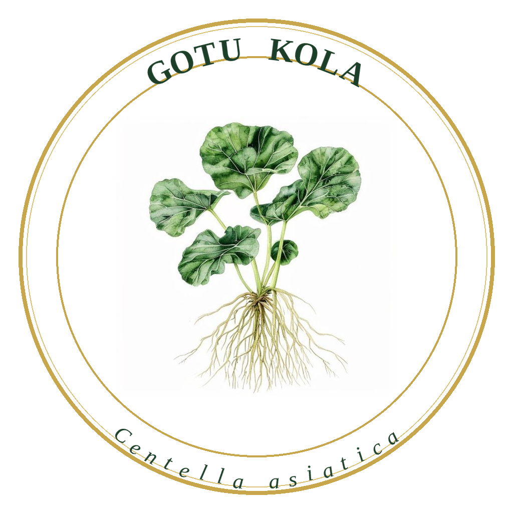 Gotu Kola