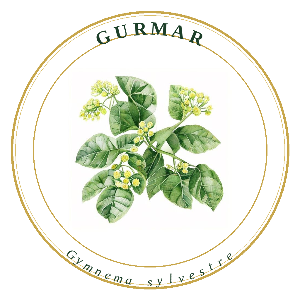 Gurmar