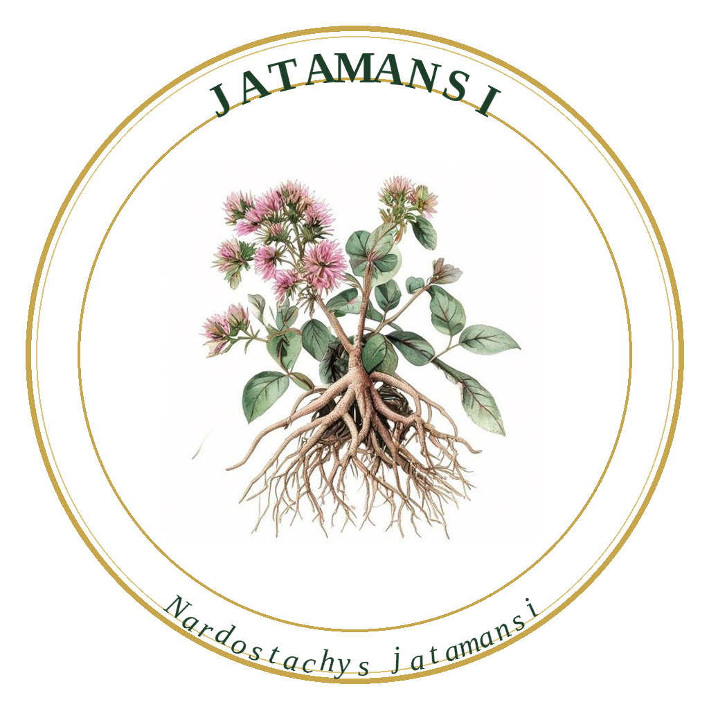 Jatamansi