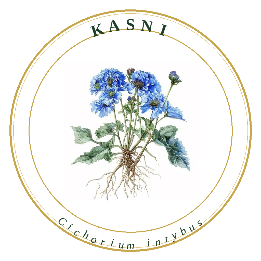 Kasni