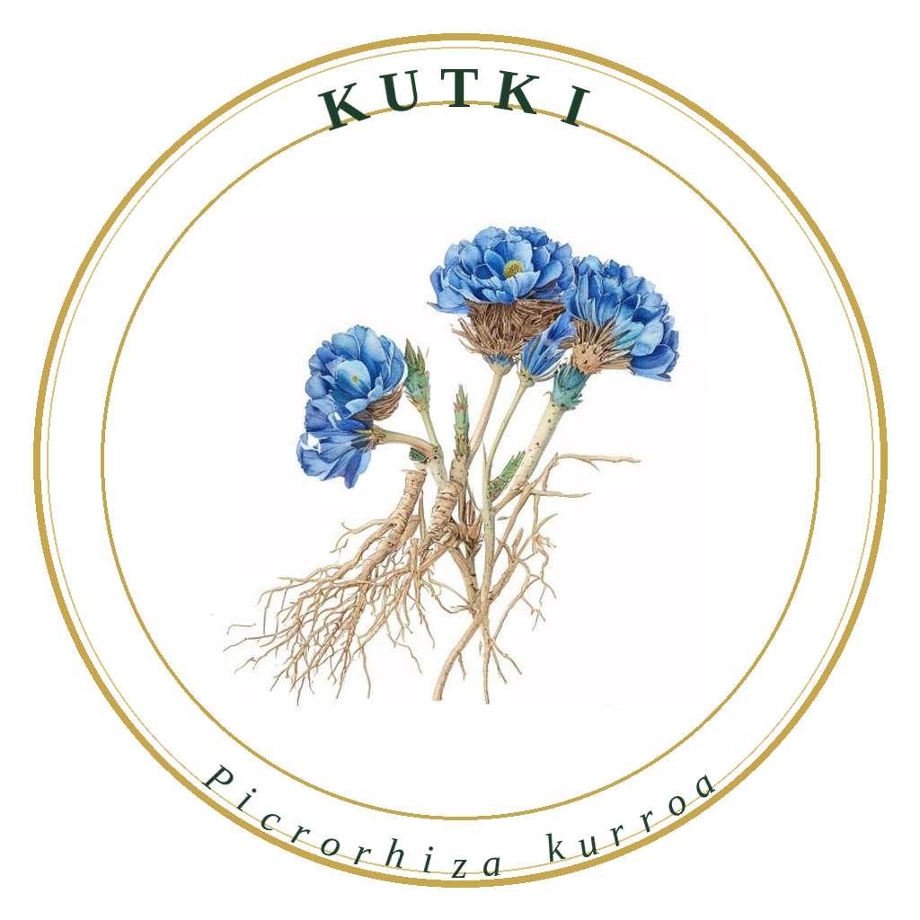 Kutki