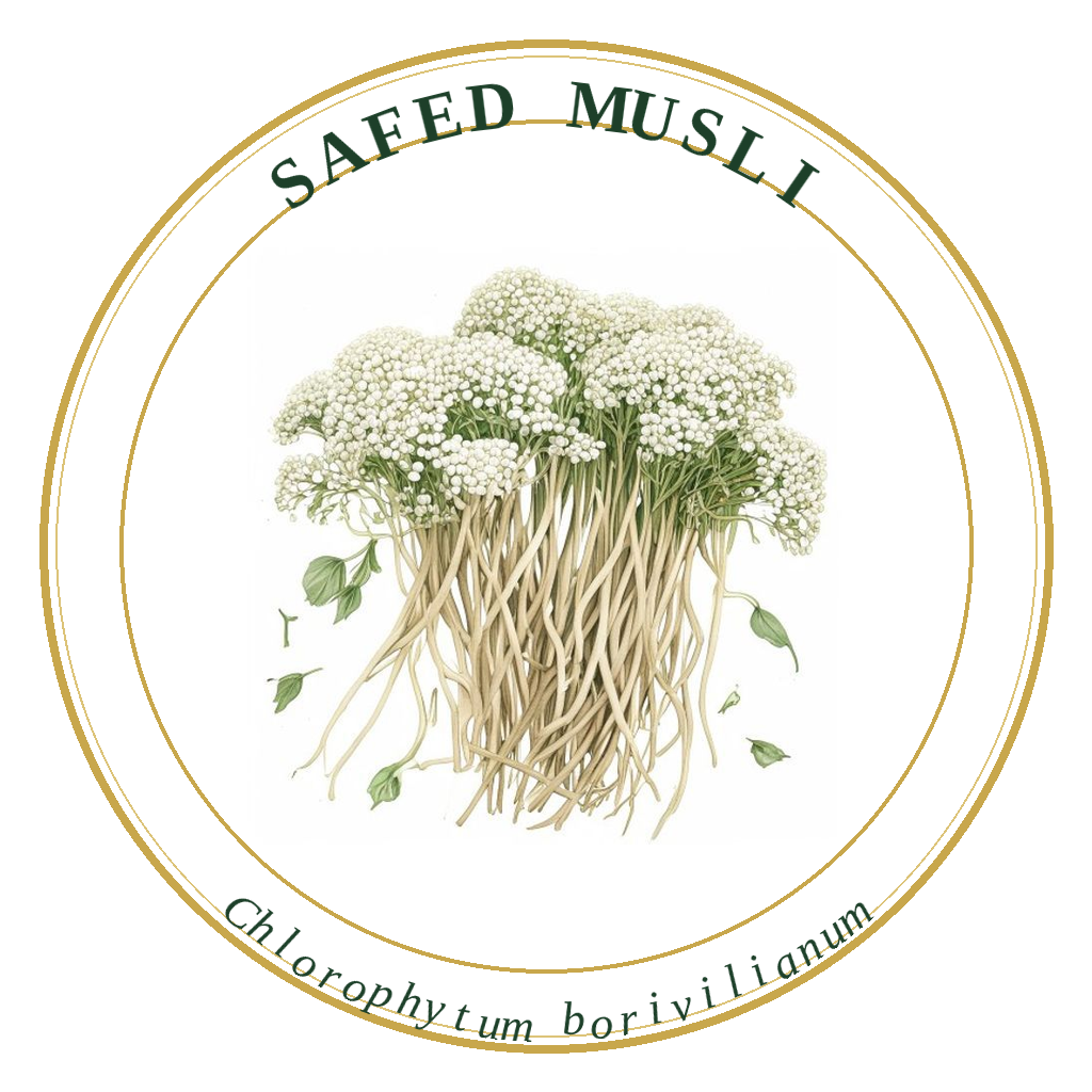 Safed Musli