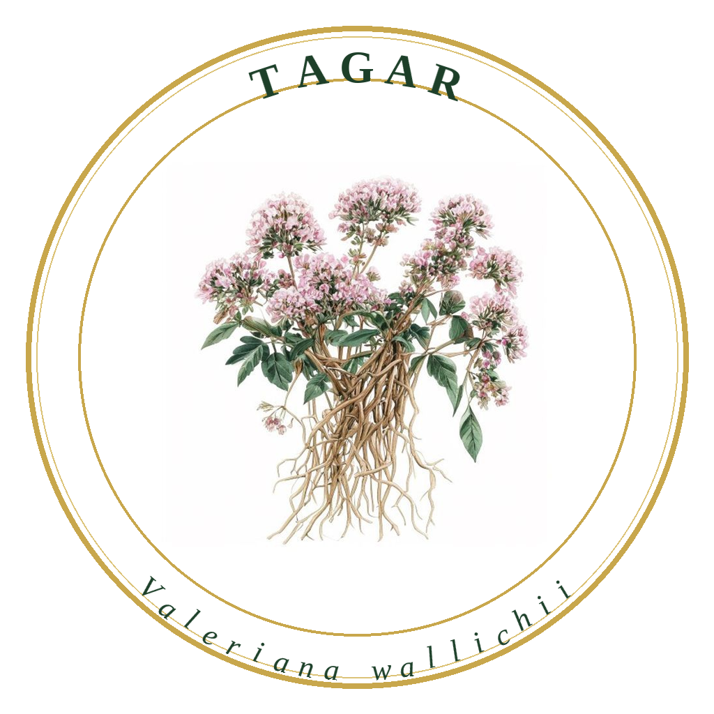 Tagar