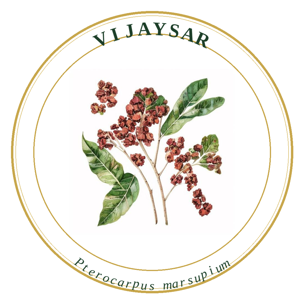 Vijaysar
